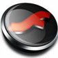 Flash Player 10.0.22.87 (IE)