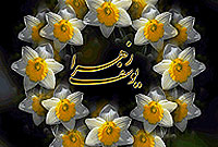 يوسف زهرا(ع) (1)