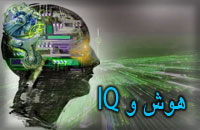 هوش و IQ 