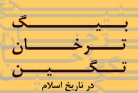 نقش سياسى ـ اجتماعى بيگ، ترخان و تگين