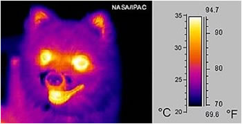 فروسرخ، مادون قرمز، Infrared