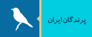 پرنده های ایرانی