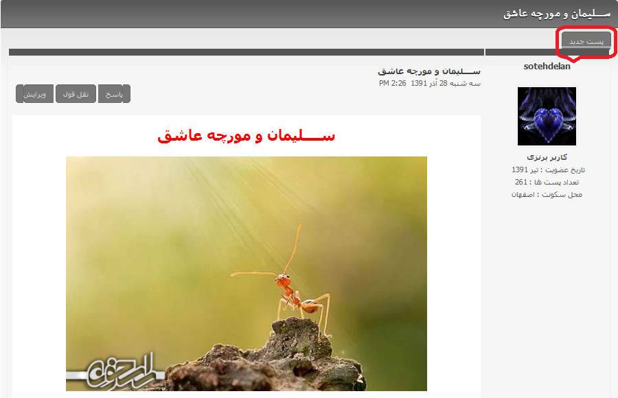 انجمن های راسخون