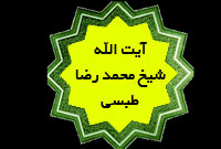 آيت اللّه شيخ محمدرضا طبسي (ره)