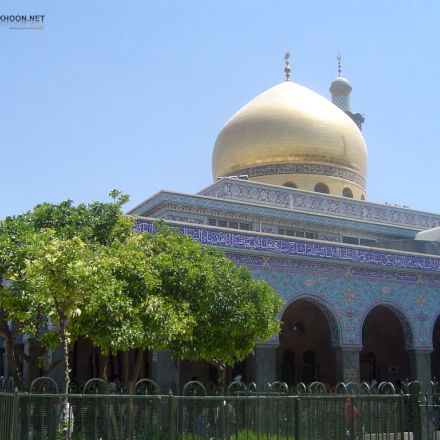 تصاویر برگزیده راسخون