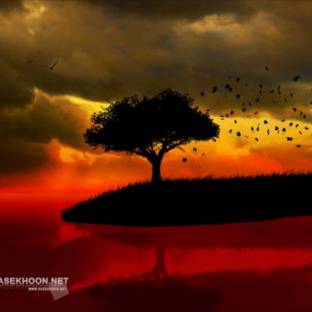 تصاویر برگزیده راسخون