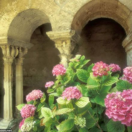 مجله تصاویر شماره 5