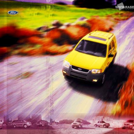 تصاویر برگزیده راسخون