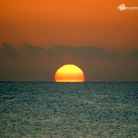 تصاویر برگزیده راسخون