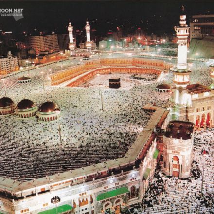 تصاویر برگزیده راسخون