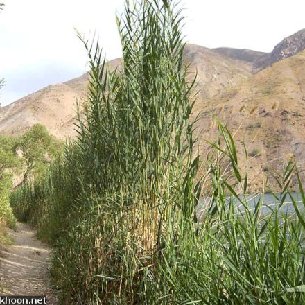 لرستان