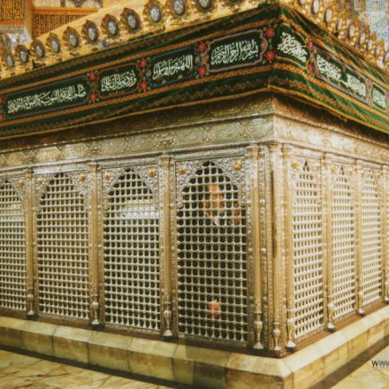 تصاویر برگزیده راسخون