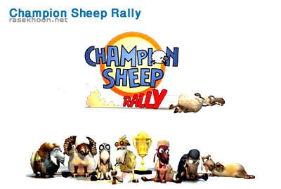 Champion Sheep Rally