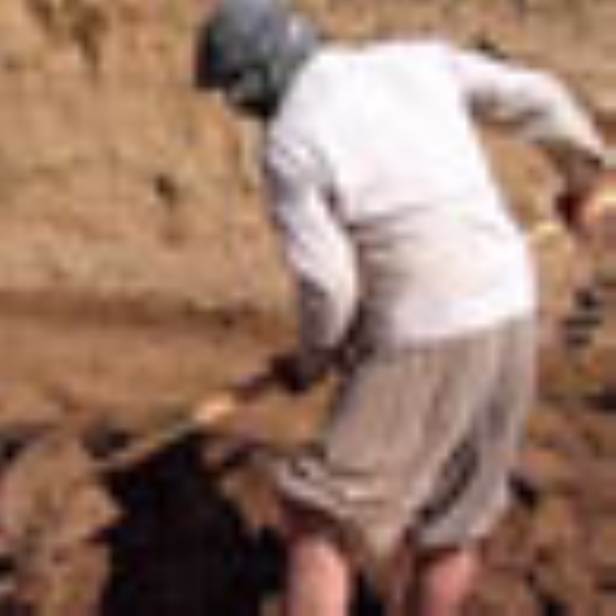 ویژه نامه سال همت مضاعف كار مضاعف ( مقالات سال همت مضاعف كار مضاعف )