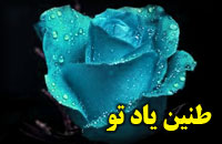  طنين ياد تو