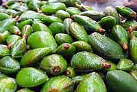ترشي چغاله بادام