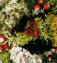 سالاد مرغ و قارچ