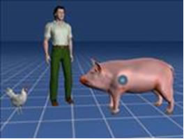 آنفلوآنزای خوکی، نشانه ها و راه های پیشگیری