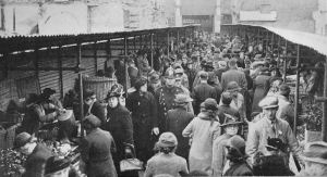 تصنيف سازان (TIN PAN ALLEY)