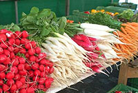 مراحل سالم سازي سبزي