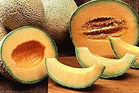سوربات طالبي
