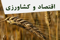 اقتصاد و كشاورزي