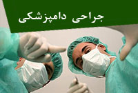 جراحي دامپزشكي