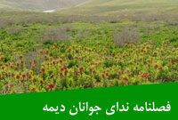 فصلنامه نداي جوانان ديمه