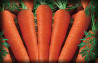 سوپر هويج ها