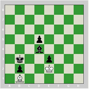 درباره فيلها