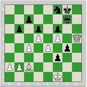 درباره فيلها