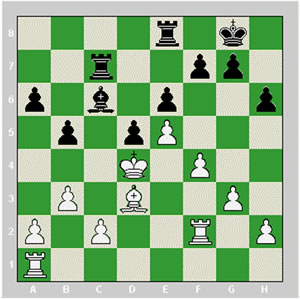 درباره فيلها