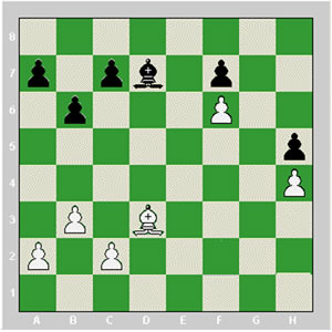 درباره فيلها