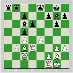 درباره فيلها