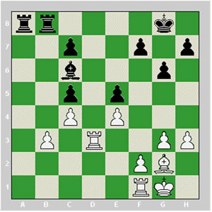 درباره فيلها