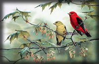 آداب همنشيني