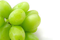 نسخه هاي شفا بخش غوره