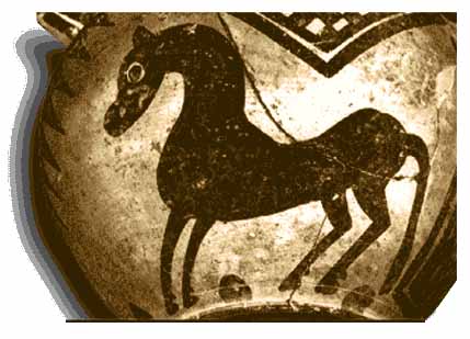 اسب ، دوست دیرین انسان( 2)