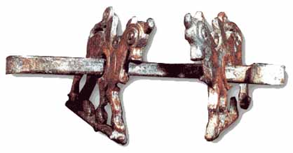 اسب ، دوست دیرین انسان( 2)