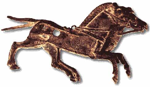 اسب ، دوست دیرین انسان( 2)