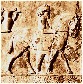 اسب ، دوست دیرین انسان( 2)