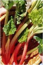 سبزیجات ، هرچه بیشتر بهتر