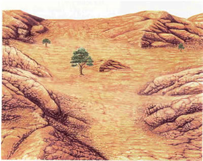 کعبه جانان ( قسمت پنجم )