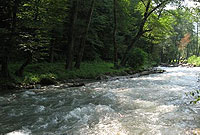 استان مازندران