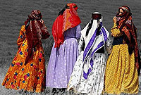 در مه تاریك نومیدی