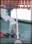 نشريه يك هفتم
