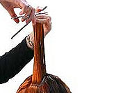 کوتاهی - مدل شانا