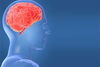 نتايج MRI مغز عاشقان