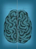 تفاوتهاي نيمكره چپ و راست مغز 