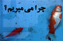 چرا می‌میریم؟ 